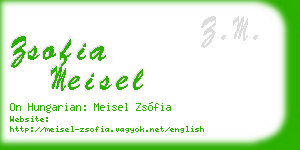 zsofia meisel business card